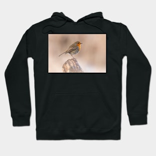 Robin perch Hoodie